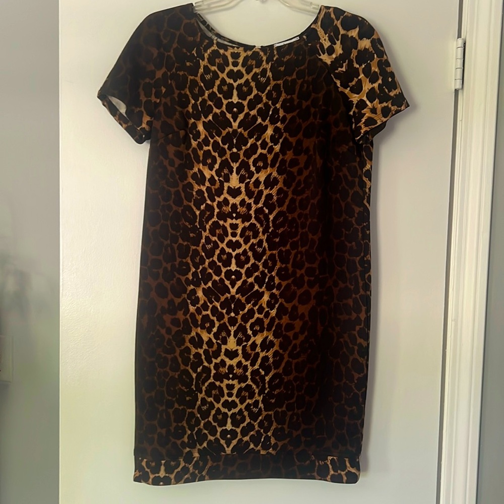 Bar III Leopard Print Career Dress Size Large